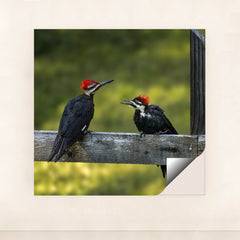 7090297045027 - Product Image