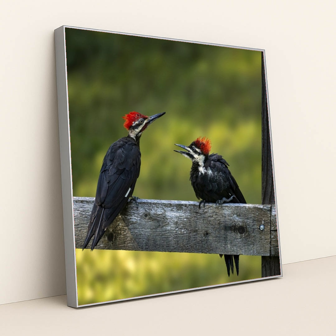 7090297045027 - Product Image