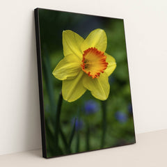 7090345476131 - Product Image