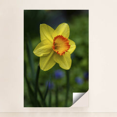 7090345476131 - Product Image