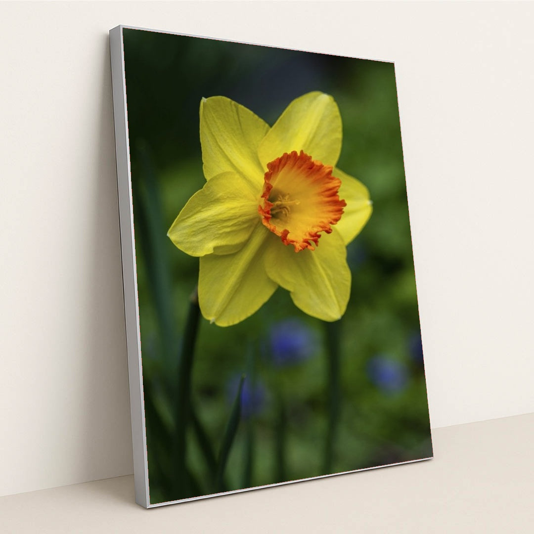 7090345476131 - Product Image