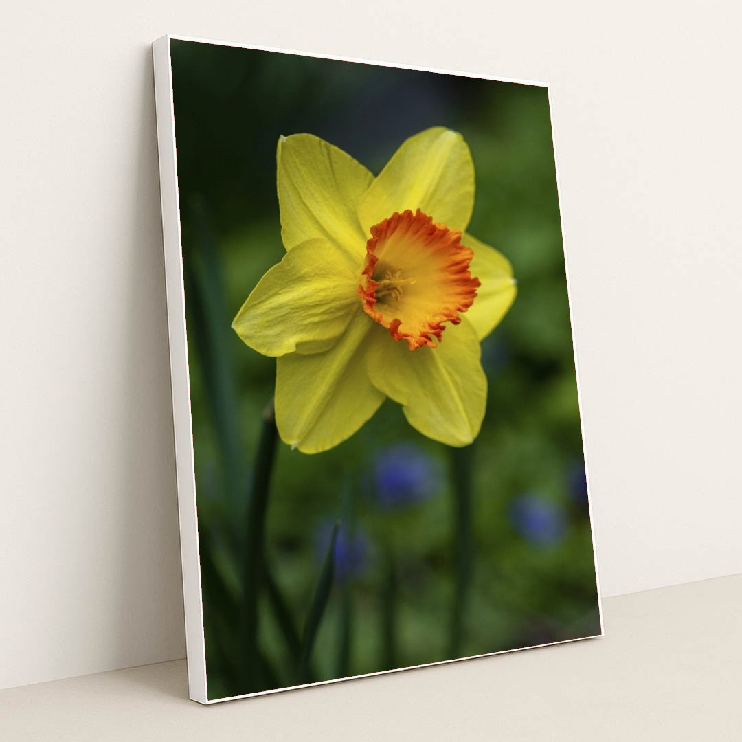 7090345476131 - Product Image