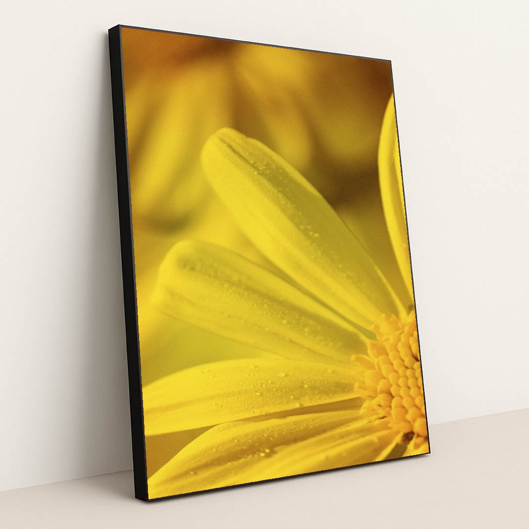 7090291867683 - Product Image