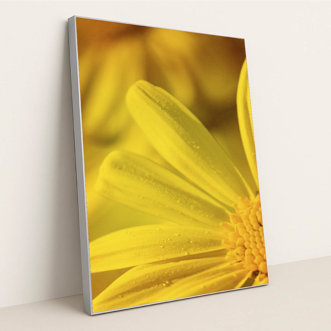 7090291867683 - Product Image