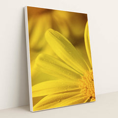 7090291867683 - Product Image