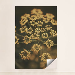 7090339020835 - Product Image