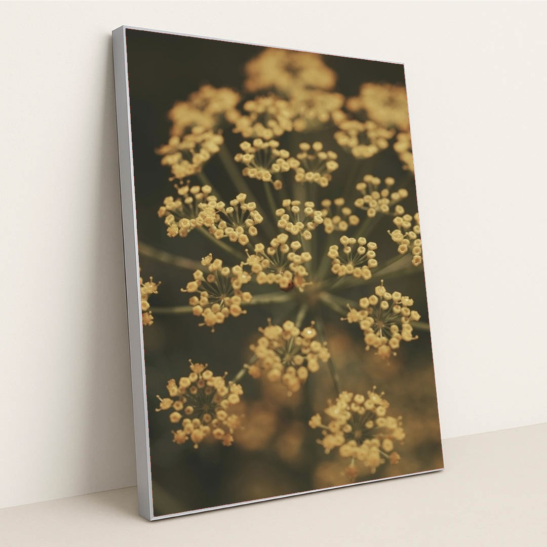 7090339020835 - Product Image