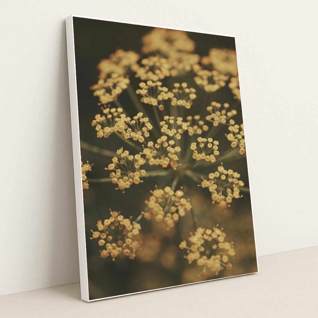 7090339020835 - Product Image