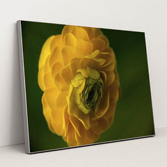 7090295406627 - Product Image