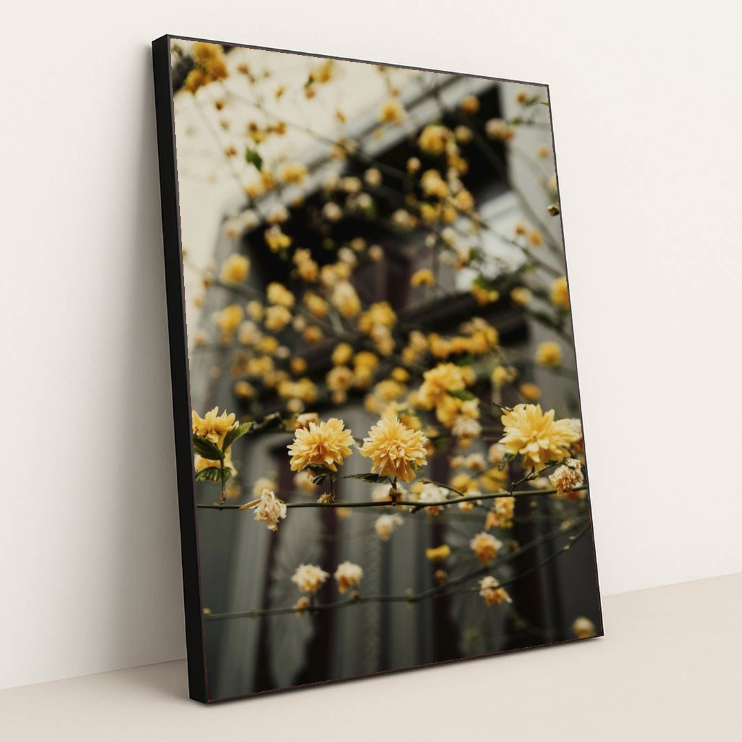 7090251759651 - Product Image