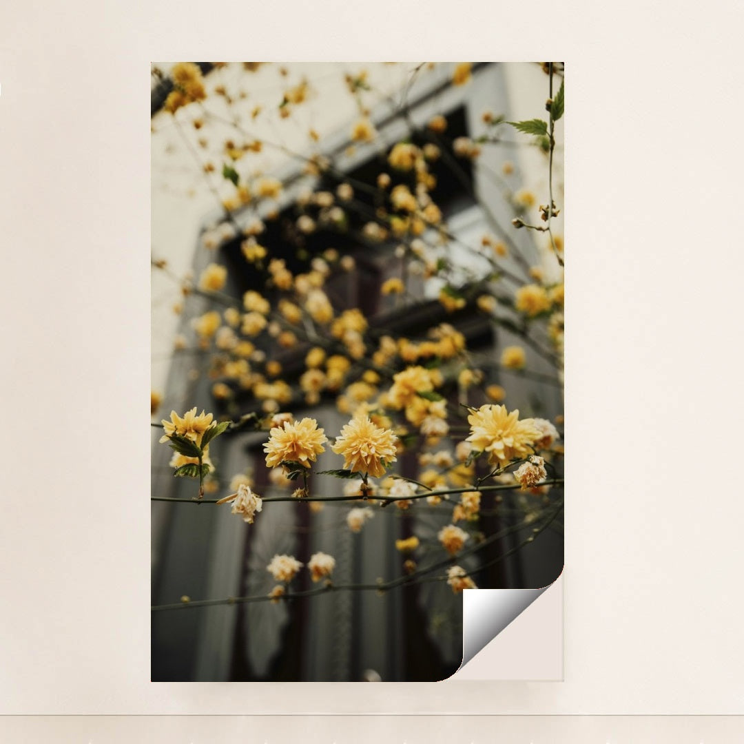 7090251759651 - Product Image