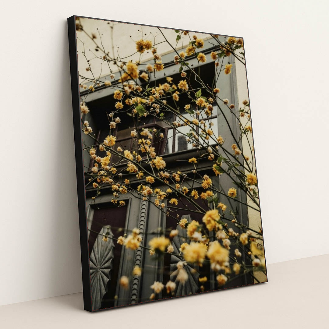 7090358550563 - Product Image