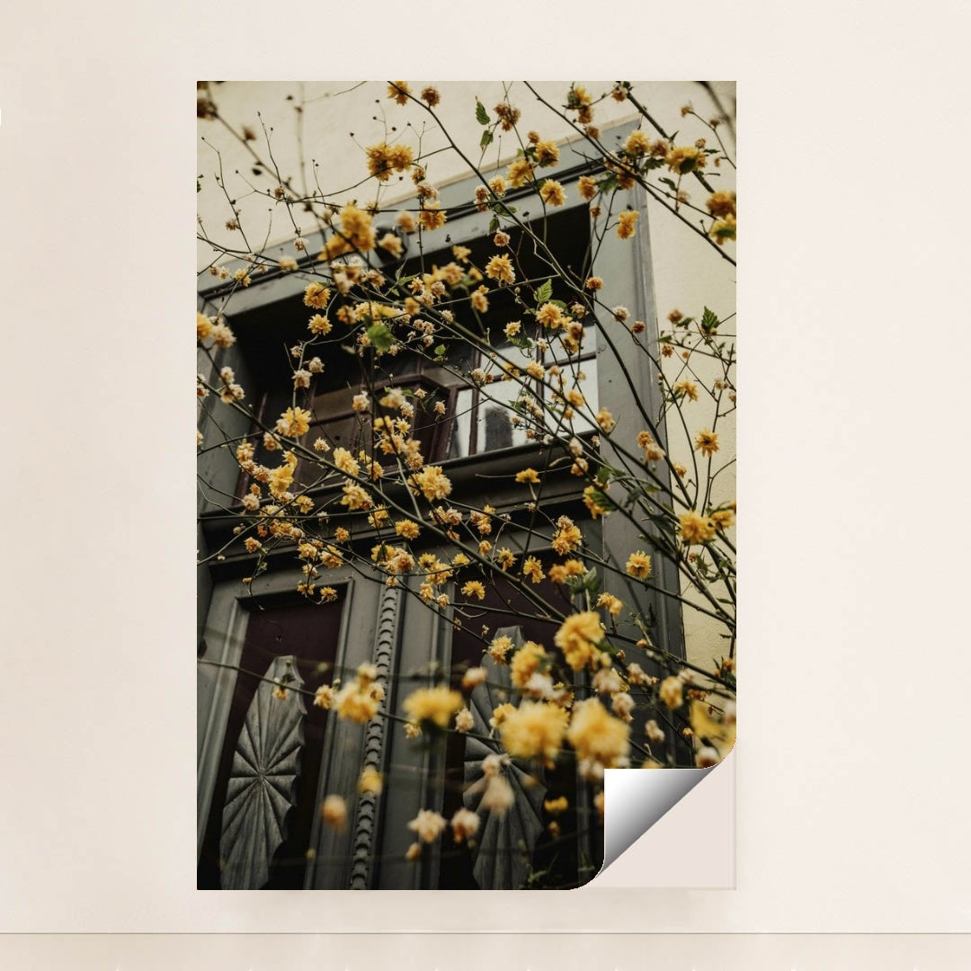 7090358550563 - Product Image