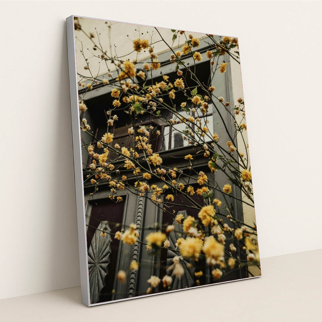 7090358550563 - Product Image