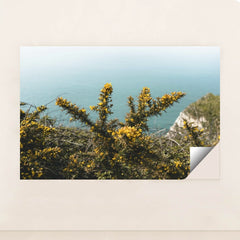 7090255167523 - Product Image