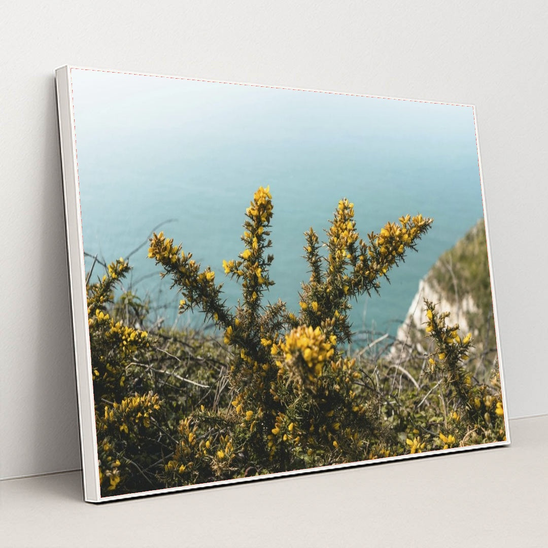 7090255167523 - Product Image