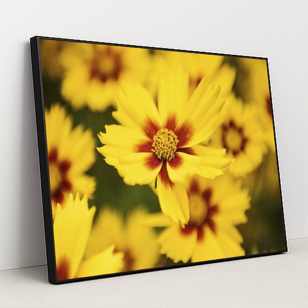 7090255003683 - Product Image