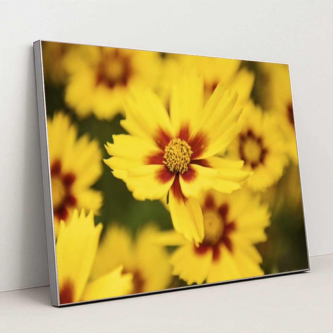 7090255003683 - Product Image