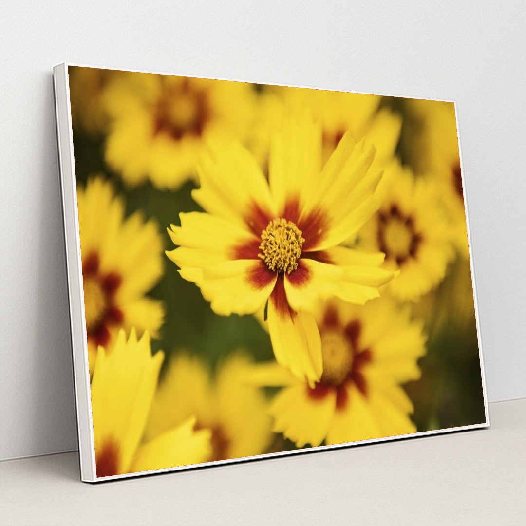 7090255003683 - Product Image