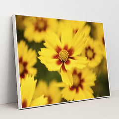 7090255003683 - Product Image