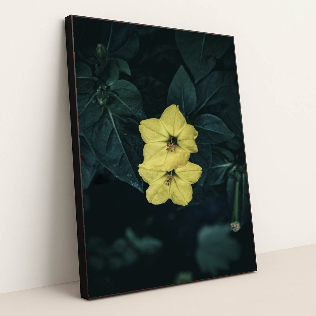 7090255265827 - Product Image