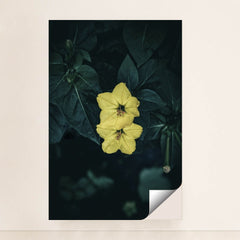 7090255265827 - Product Image