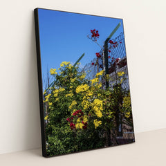 7090343575587 - Product Image