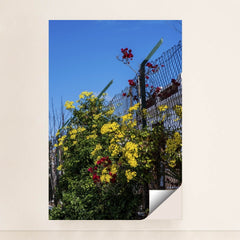 7090343575587 - Product Image