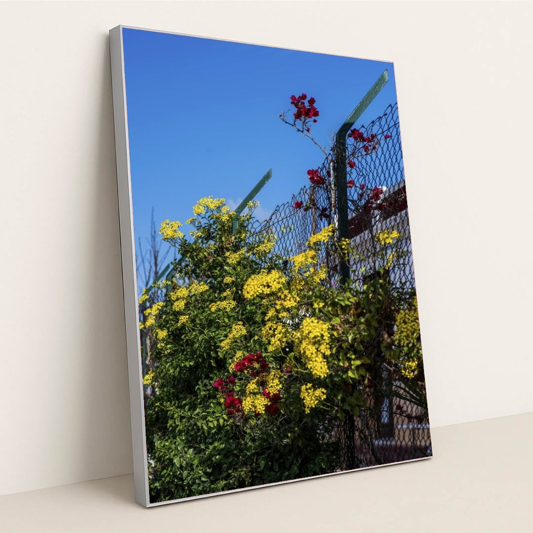 7090343575587 - Product Image