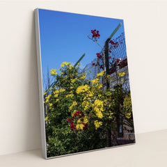 7090343575587 - Product Image