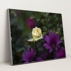 7090360287267 - Product Image