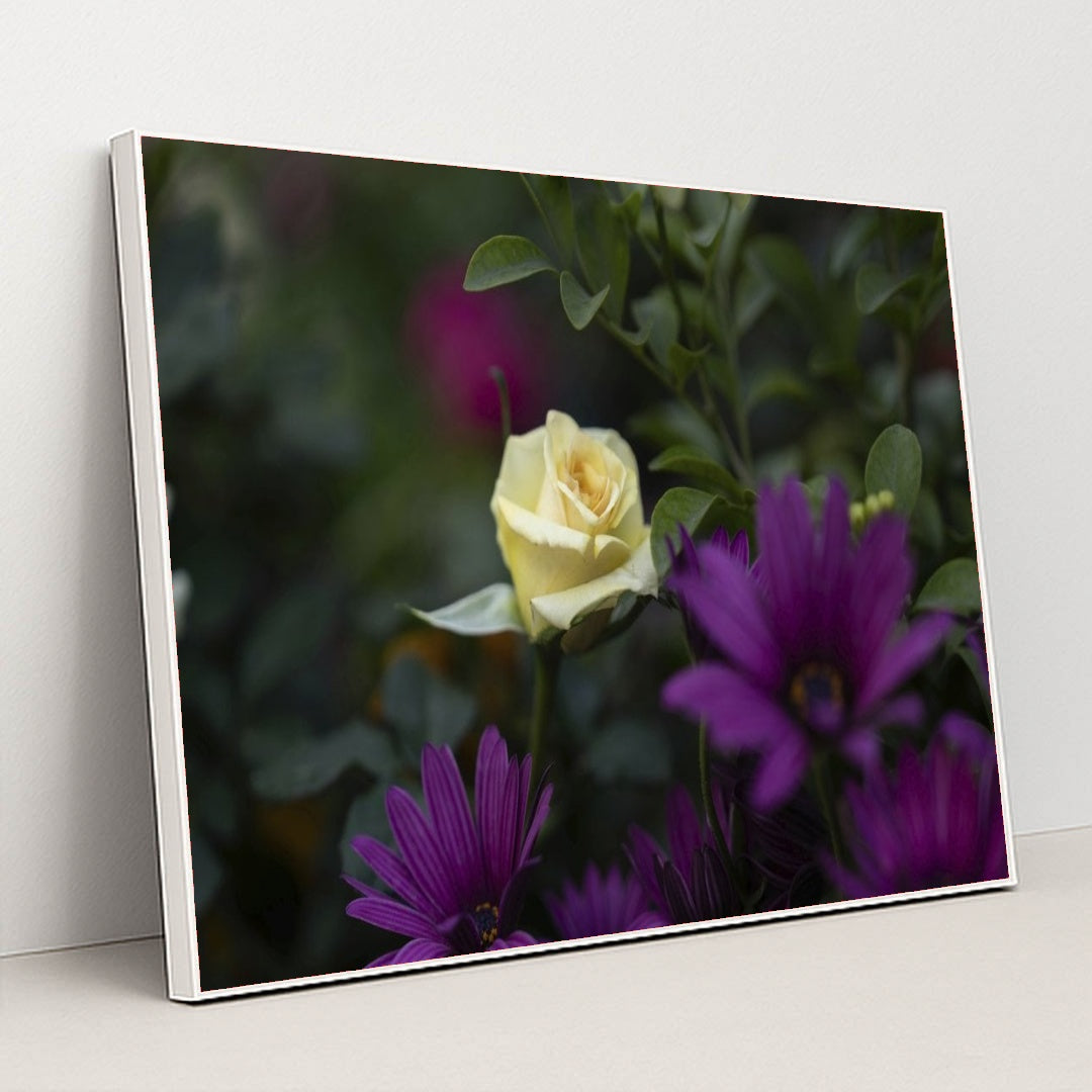 7090360287267 - Product Image