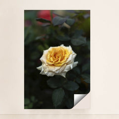 7090353733667 - Product Image