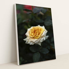 7090353733667 - Product Image