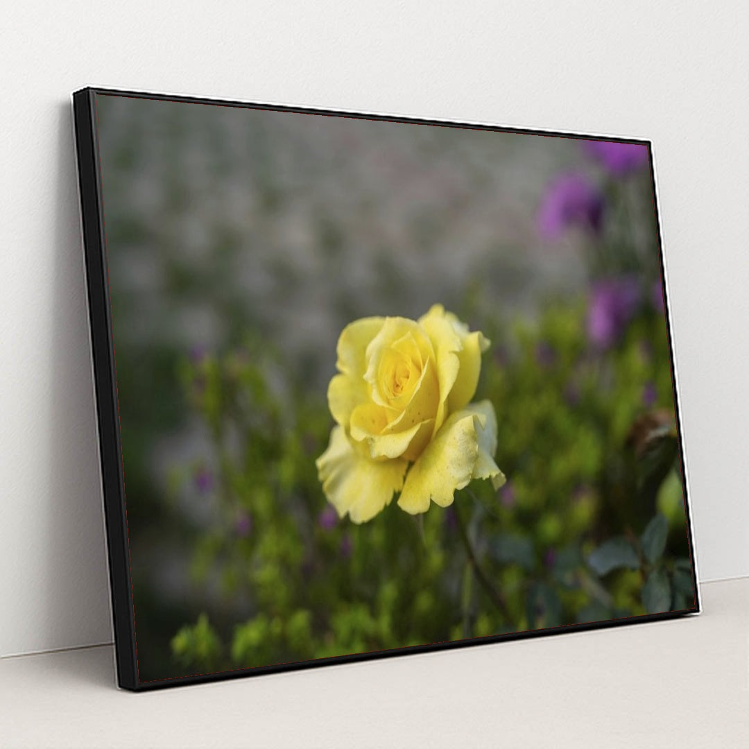 7090358583331 - Product Image