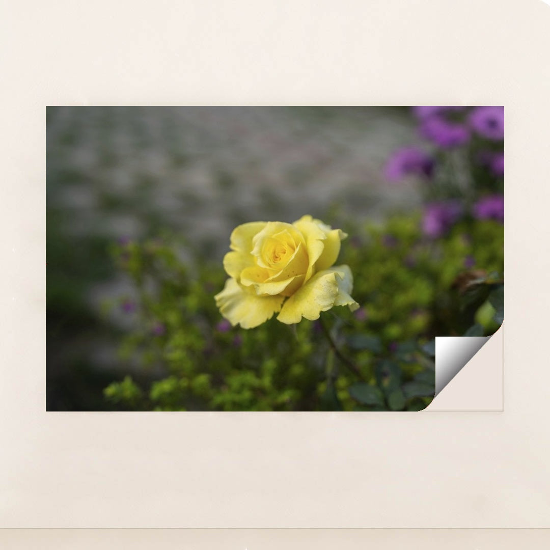 7090358583331 - Product Image