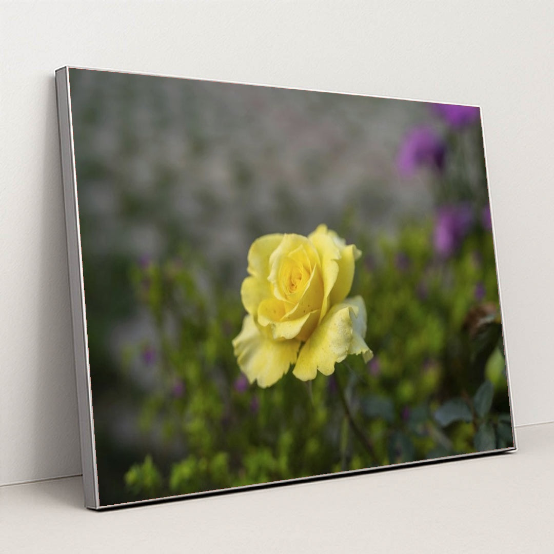 7090358583331 - Product Image