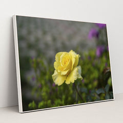 7090358583331 - Product Image