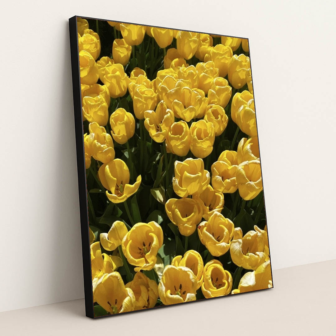 7090332598307 - Product Image