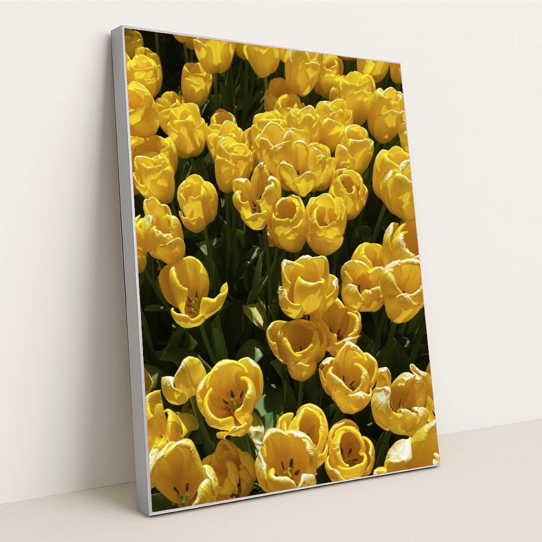 7090332598307 - Product Image