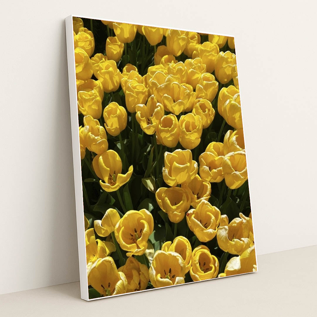 7090332598307 - Product Image