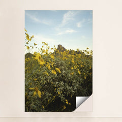 7090295930915 - Product Image