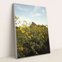 7090295930915 - Product Image