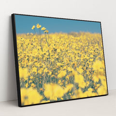 7090289082403 - Product Image