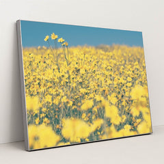 7090289082403 - Product Image