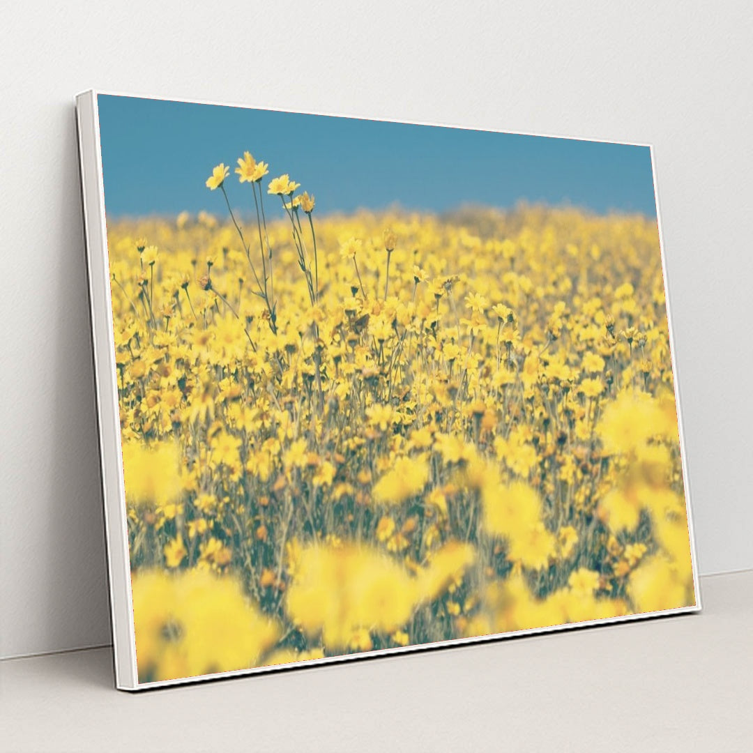 7090289082403 - Product Image