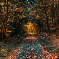 Fall