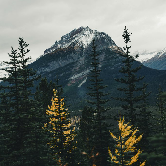 Landscapes