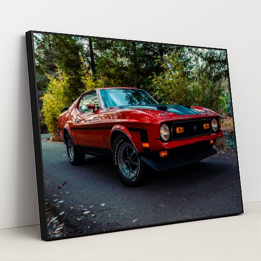 351 Ram Air by Meritt Thomas - Black Frame Stretchiez
