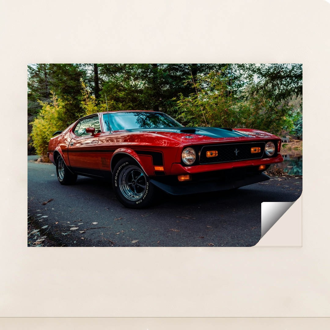351 Ram Air by Meritt Thomas - Peeliez